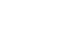 Fair Play Labs Logo