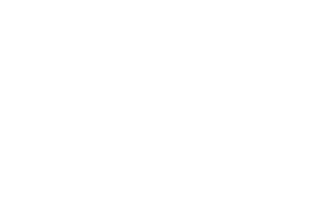 Fair Play Labs Logo